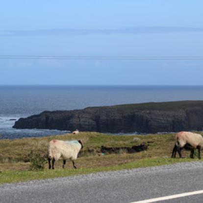 Voyage en Irlande de Christiane