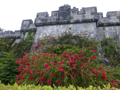 Voyage en Irlande de Sylvie