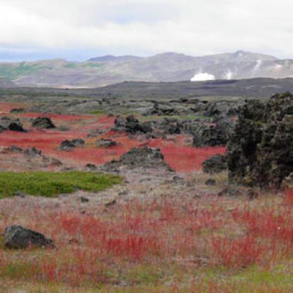 ©Claire C.- Tous Droits Réservés Voyage en Islande - Claire C.