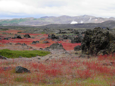 ©Claire C.- Tous Droits réservés Voyage en Islande - Claire C.