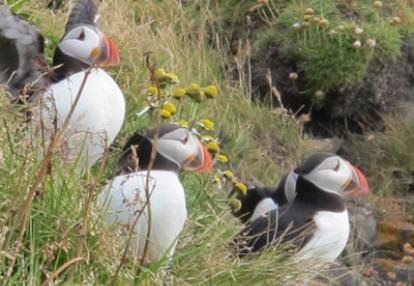 Voyage en Islande de Laurence