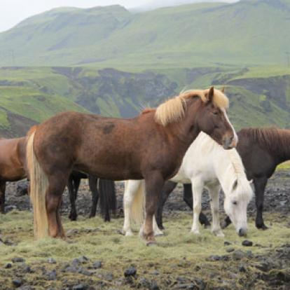 Voyage en Islande de Laurence