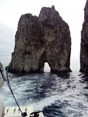 ©Dominique N. - Tous Droits réservés