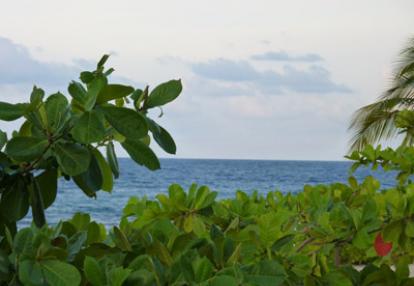 Voyage à La Jamaïque de Sophie