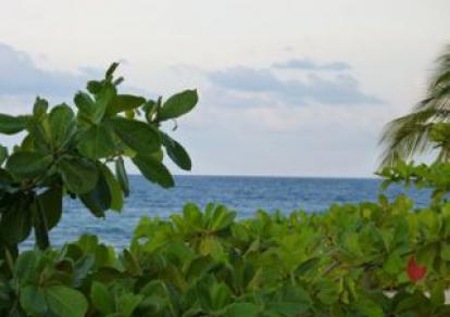 Amérique Centrale & Caraïbes