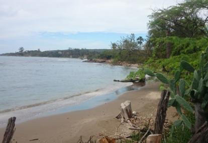 Voyage à La Jamaïque de la Famille de Natasha P.