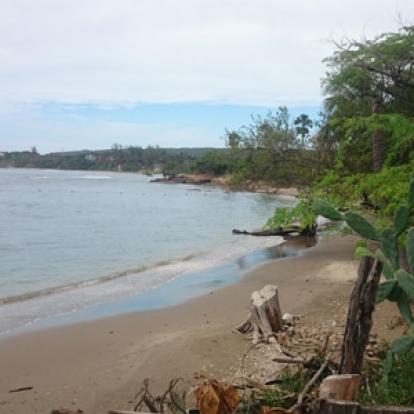 Voyage à La Jamaïque de la Famille de Natasha P.