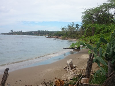 Voyage à La Jamaïque de la Famille de Natasha P.