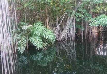 Voyage à La Jamaïque de la Famille de Natasha P.
