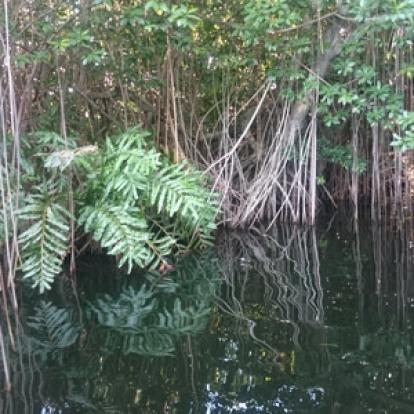 Voyage à La Jamaïque de la Famille de Natasha P.