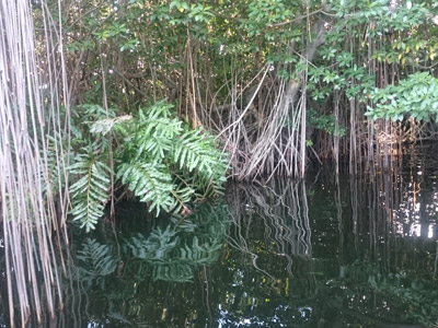 Voyage à La Jamaïque de la Famille de Natasha P.