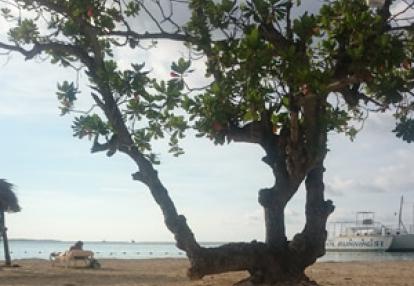 Voyage à La Jamaïque de la Famille de Natasha P.