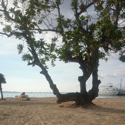 Voyage à La Jamaïque de la Famille de Natasha P.
