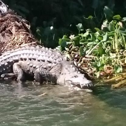 Voyage à La Jamaïque de la Famille de Natasha P.