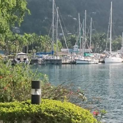 Voyage à La Jamaïque de la Famille de Natasha P.