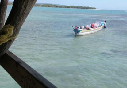 Voyage à La Jamaïque de la Famille de Natasha P.