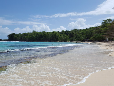 ©Sandra V. - Tous Droits réservés Voyage à La Jamaïque de Sandra