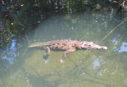 Voyage à La Jamaïque de Sandra