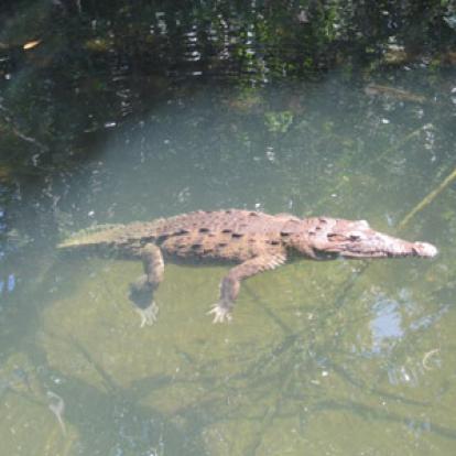 ©Sandra V. - Tous Droits Réservés Voyage à La Jamaïque de Sandra