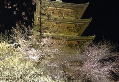 ©Françoise L. - Tous Droits réservés Voyage au Japon de Françoise et Aubane