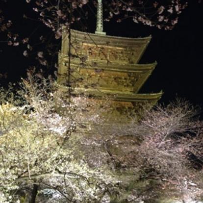 Voyage au Japon de Françoise et Aubane