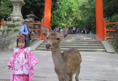 ©Annabel C. - Tous Droits réservés Voyage au Japon d'Annabel