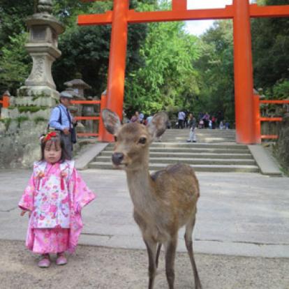©Annabel C. - Tous Droits Réservés Voyage au Japon d'Annabel