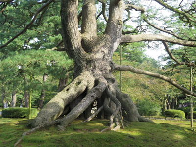 ©Annabel C. - Tous Droits réservés Voyage au Japon d'Annabel
