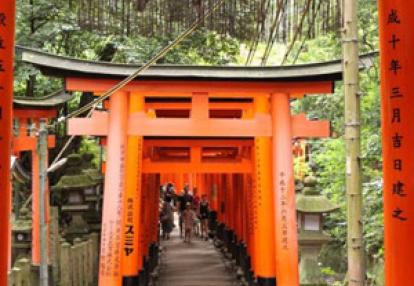 ©Philippe L. - Tous Droits réservés Voyage au Japon de philippe