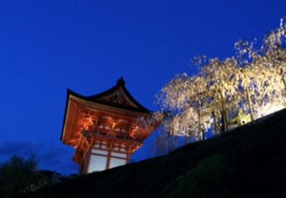 Voyage au Japon de philippe