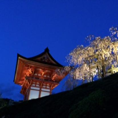 Voyage au Japon de philippe