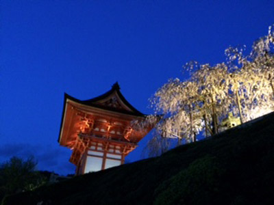 Voyage au Japon de philippe