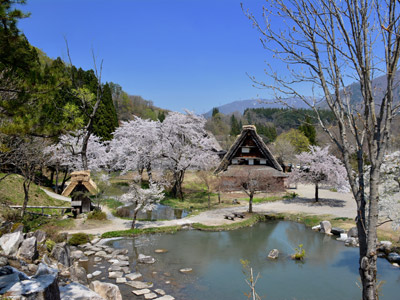 Voyage au Japon de la Famlille de Juliette