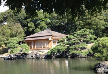 ©Chantal L. - Tous Droits réservés Séjour à Tokyo de Chantal