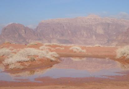 Voyage en Jordanie de Ronald