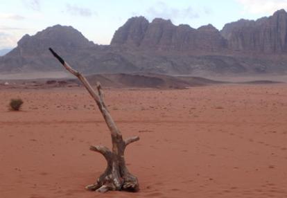Voyage en Jordanie de Ronald
