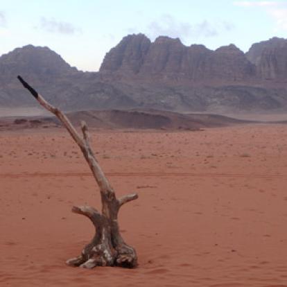 Voyage en Jordanie de Ronald