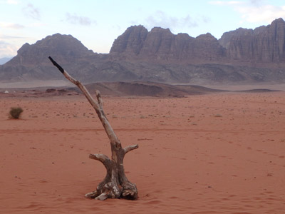 Voyage en Jordanie de Ronald