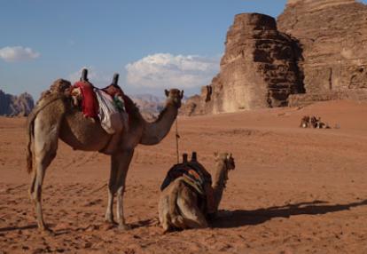 ©Macha G. - Tous Droits réservés Voyage en Jordanie du Groupe de Macha