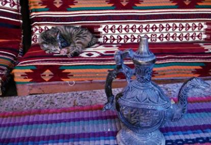 ©Marielle G. - Tous Droits réservés Voyage en Jordanie de Marielle et Christine