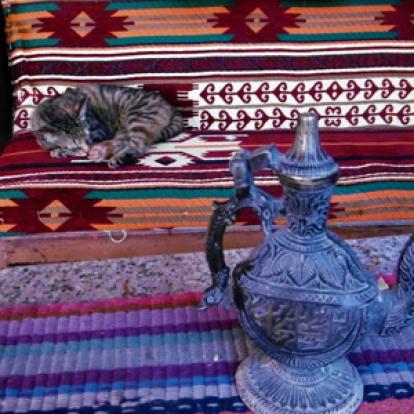 Voyage en Jordanie de Marielle et Christine 