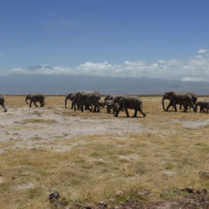 Safari au Kenya du groupe d'Edith et Luc
