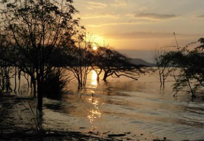Safari au Kenya du groupe d'Edith et Luc