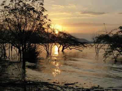 Safari au Kenya du groupe d'Edith et Luc
