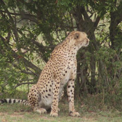 Voyage au Kenya de Pascale et Ireck