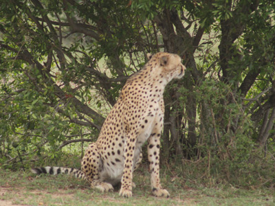 Voyage au Kenya de Pascale et Ireck