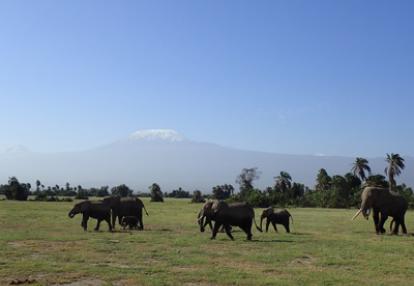 Voyage au Kenya de Stéphanie et Rémy