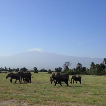 Voyage au Kenya de Stéphanie et Rémy