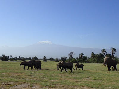 Voyage au Kenya de Stéphanie et Rémy