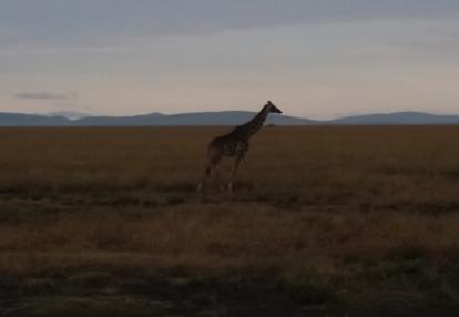 Voyage au Kenya de la Famille de Magali